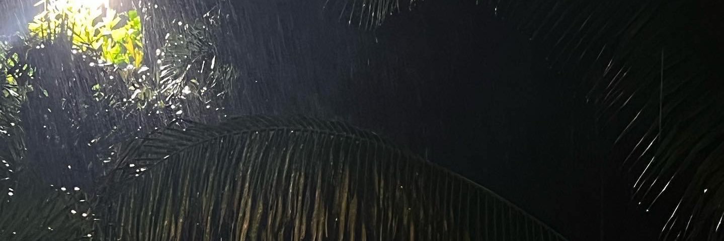 _bshanese's profile banner image