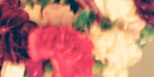 froggyflower71's profile banner image