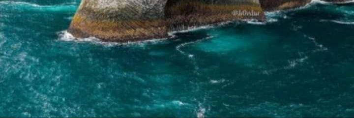 t0othpik's profile banner image