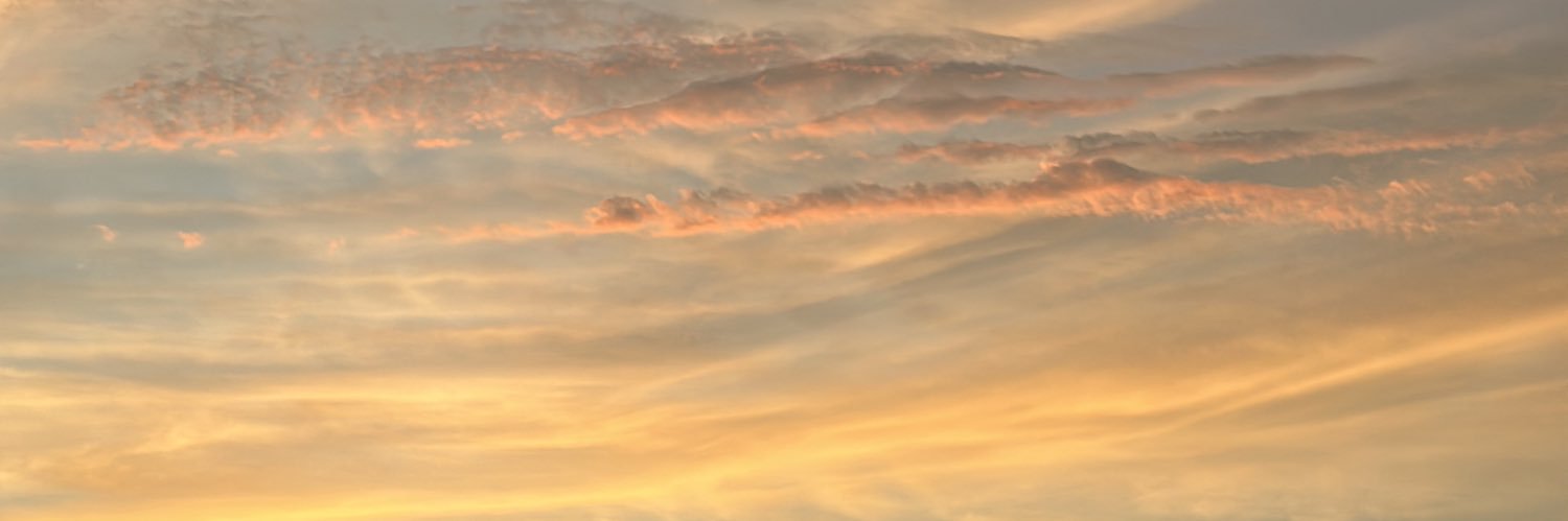 wavesofdiana's profile banner image