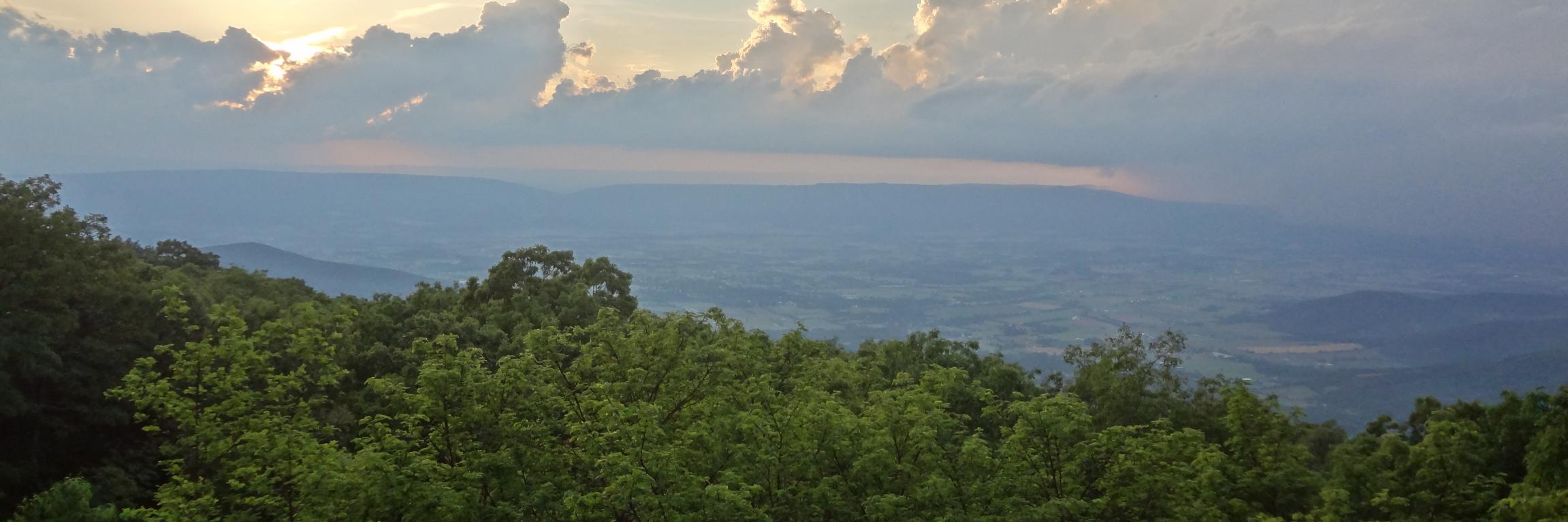 AmbStephens's profile banner image