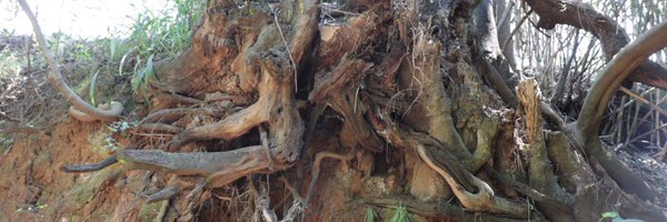 MoAfrika Profile Banner