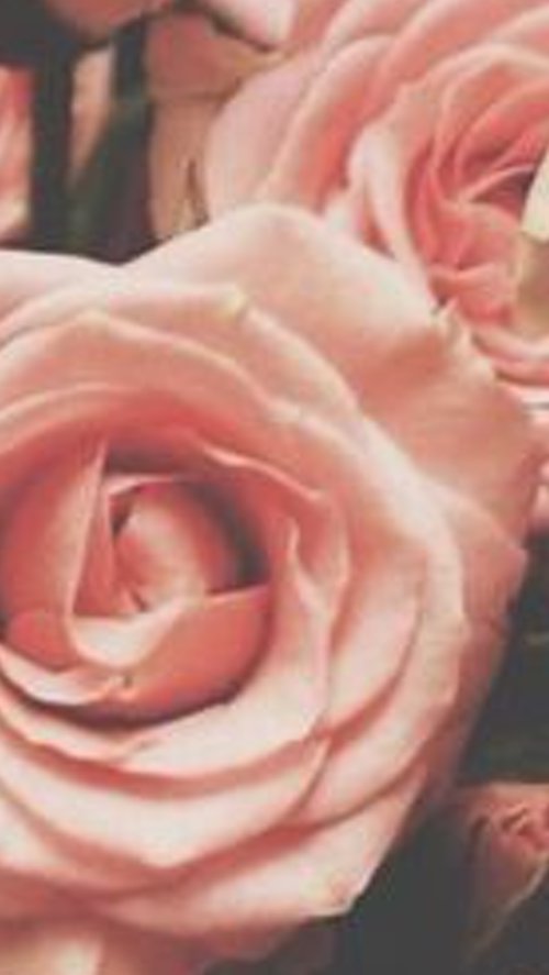 behindcarter's profile banner image