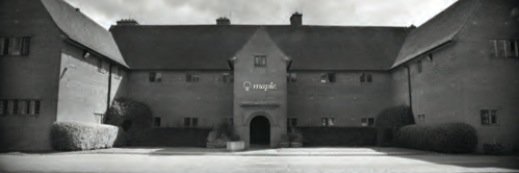 maplebrands's profile banner image