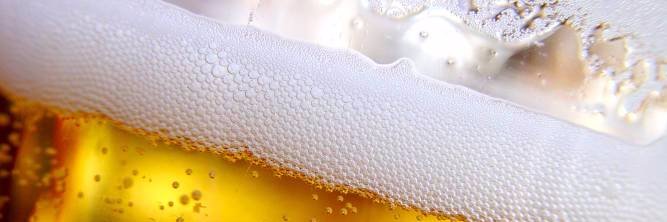 CERVEZAMAPACHE's profile banner image