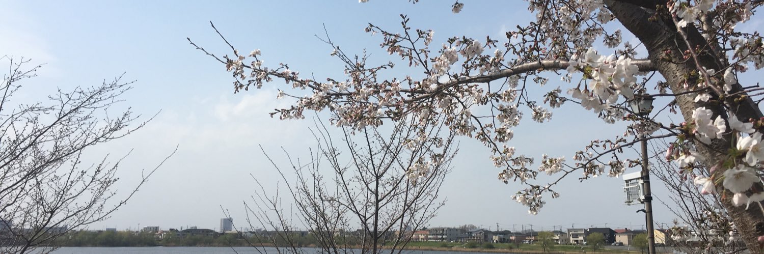 hapimaru_3rd's profile banner image