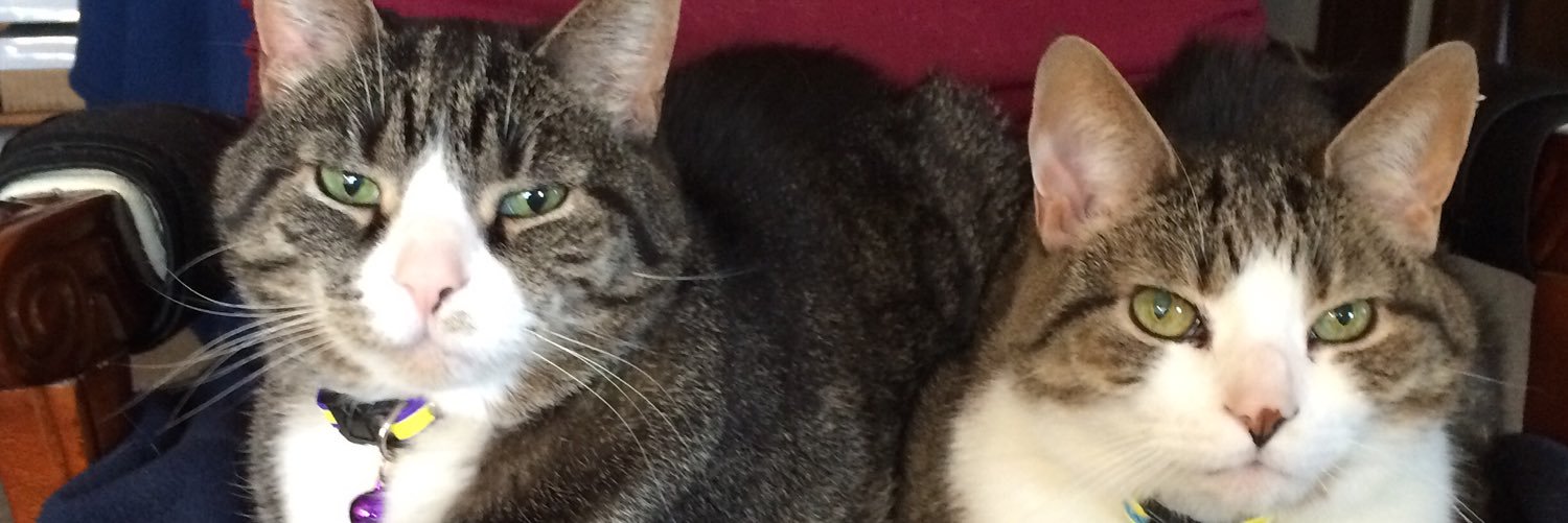 Rambo71E's profile banner image