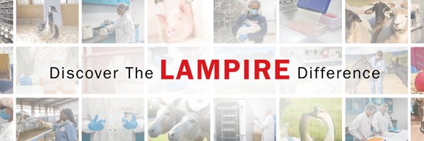 LampireBIO Profile Banner