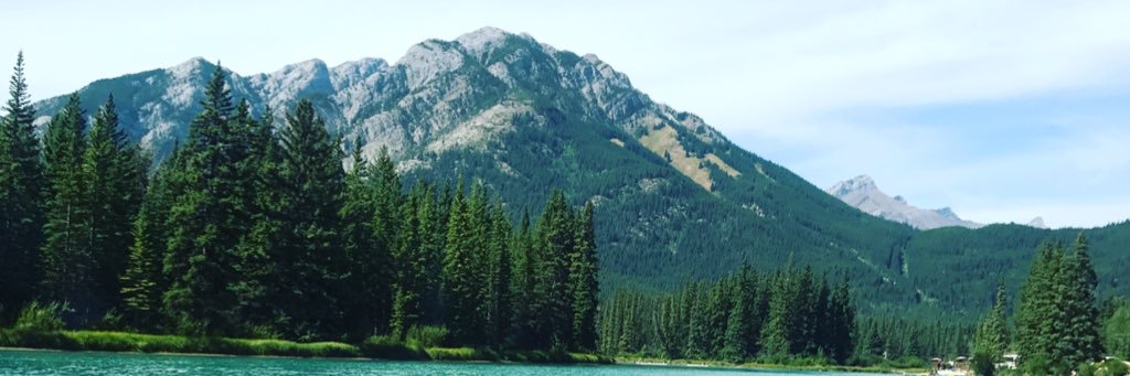 Whitty_33's profile banner image