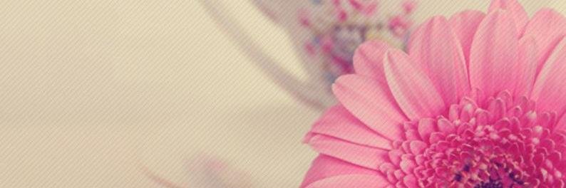 josiejoness's profile banner image