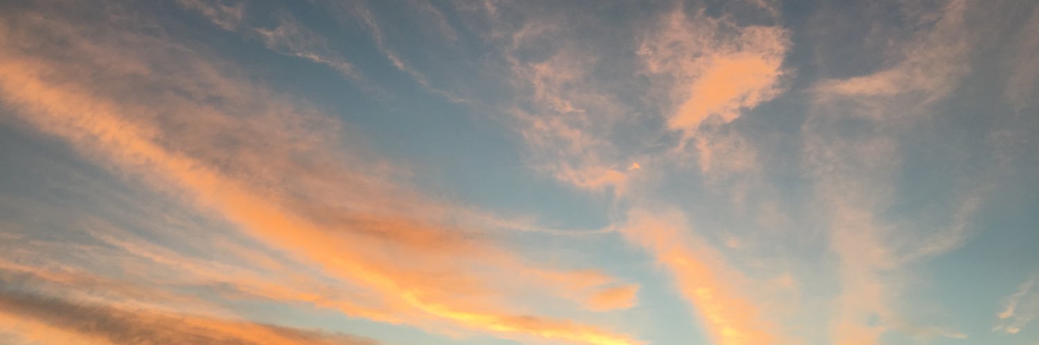 julianapv_'s profile banner image