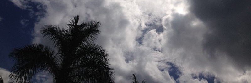 DLShore310's profile banner image