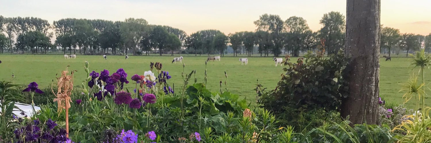 Jouke Kardolus banner