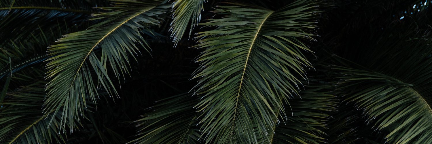peterpuk's profile banner image