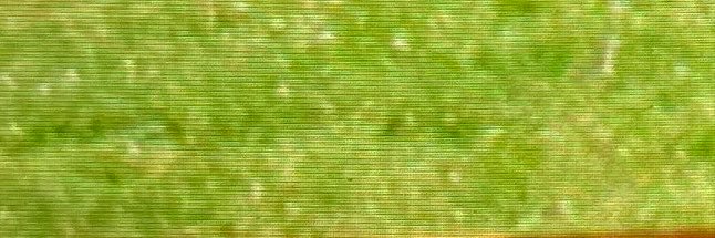 beaujangles11's profile banner image