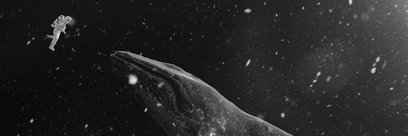 cassadion's profile banner image