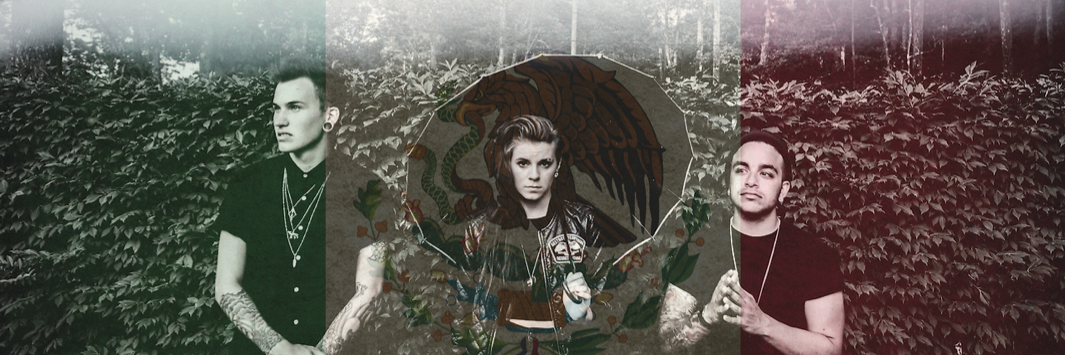 PVRISMexico's profile banner image