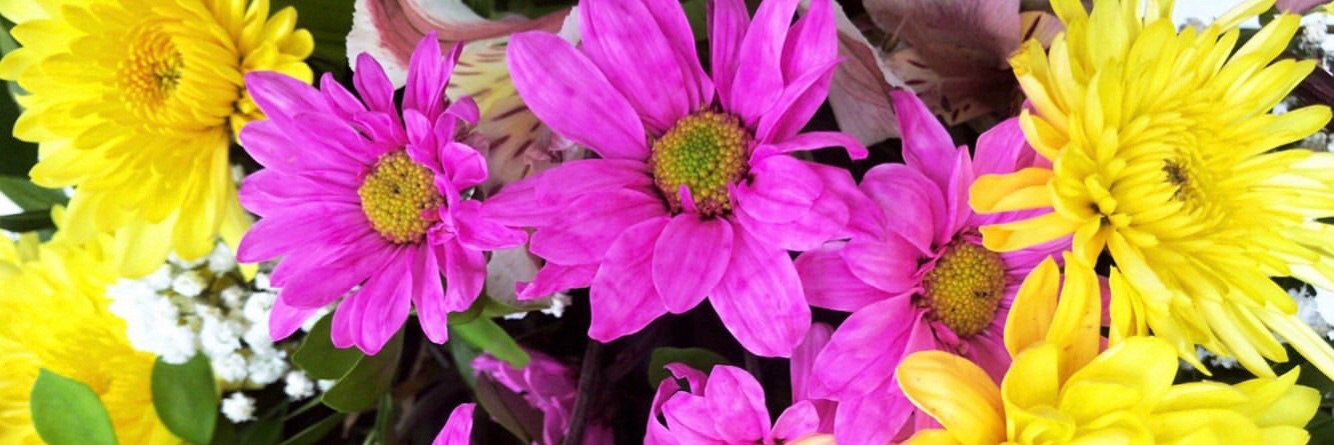 mstrsofia_'s profile banner image