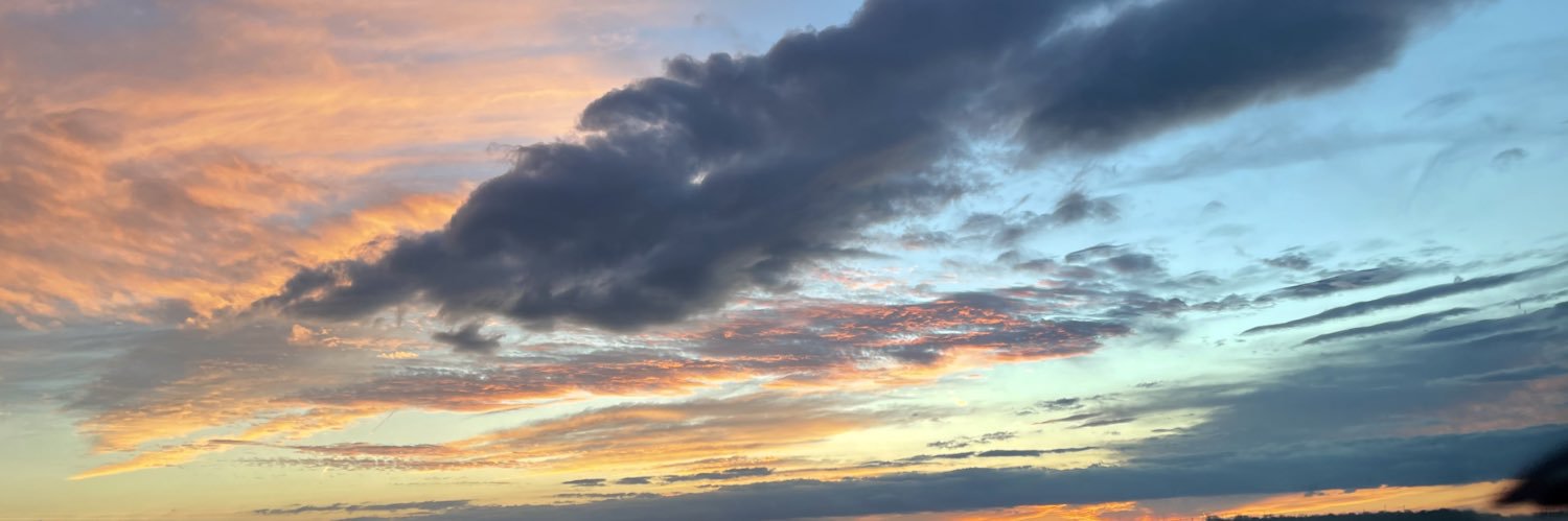 Amreen (Neelu) | She/They banner