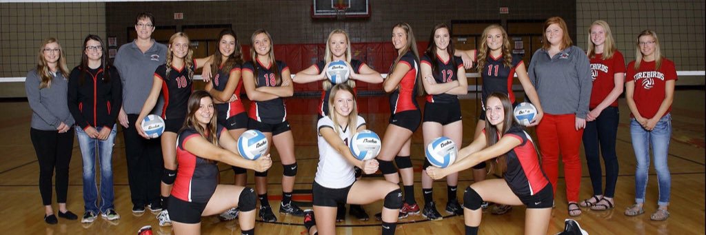 DLHSVolleyball's profile banner image