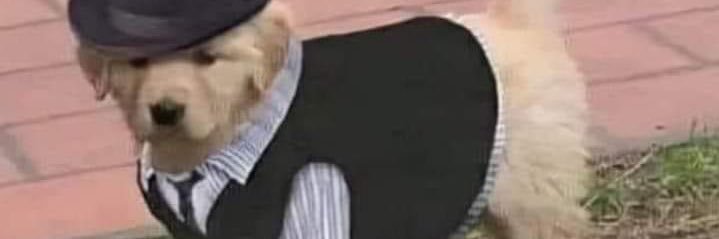 maurii_bb's profile banner image