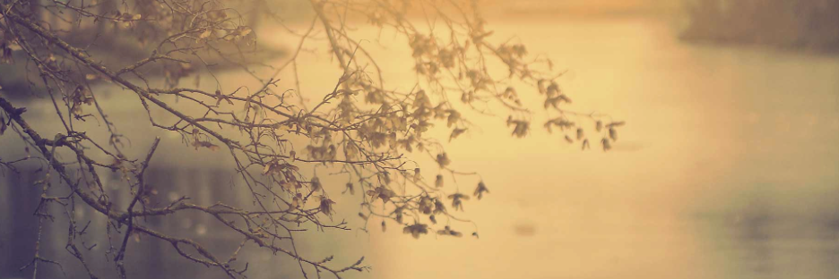 FishDrift's profile banner image
