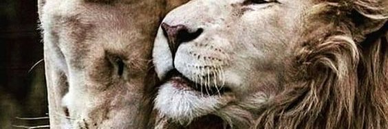 I'm so done 🌱 banner