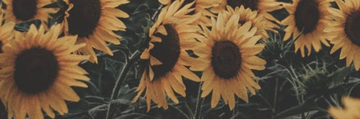 nchunderella_'s profile banner image