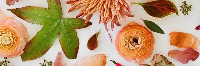 kellylizak's profile banner image