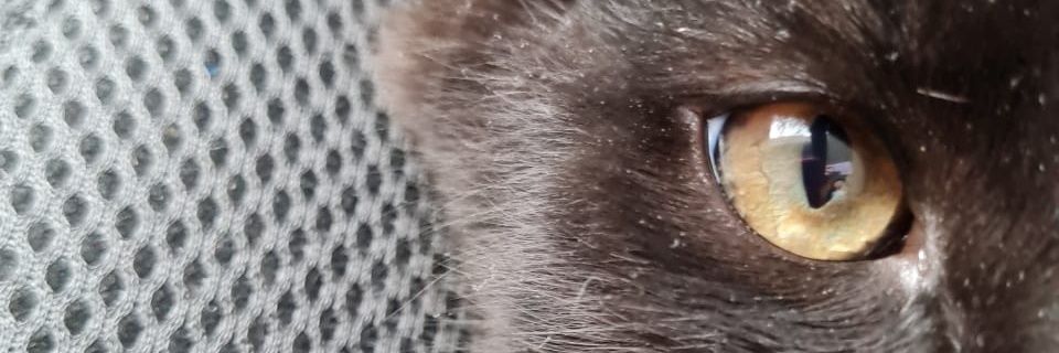 Judastyle's profile banner image