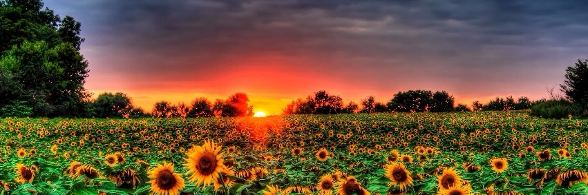 _Frida02's profile banner image