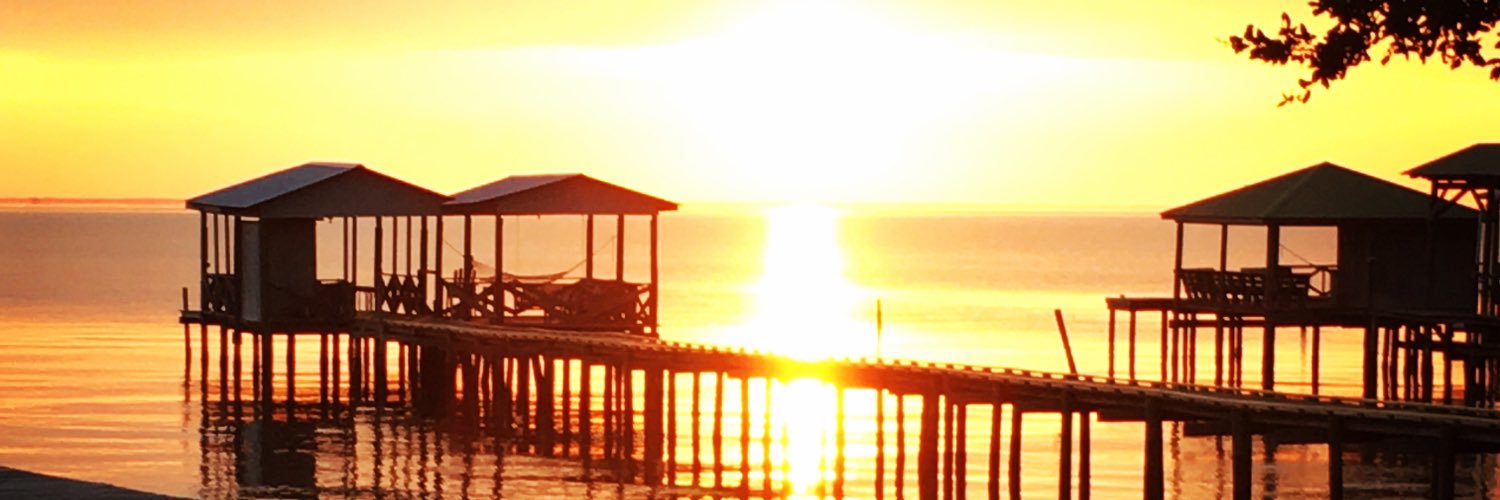 Maria Hollinger banner