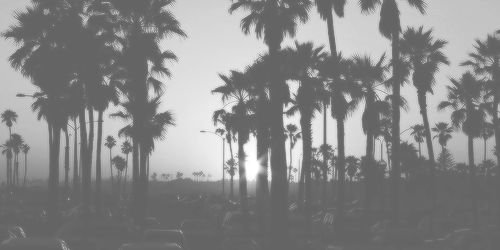 _m4gc0nd4's profile banner image