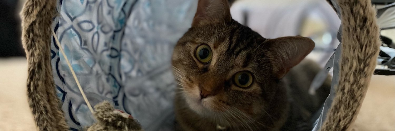 jasminr11's profile banner image