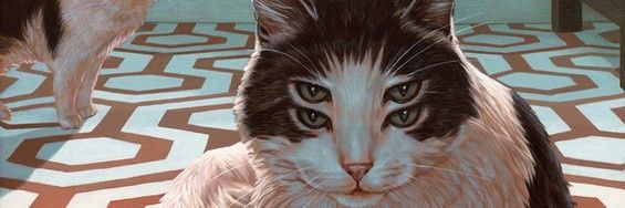 stupidsmaker's profile banner image
