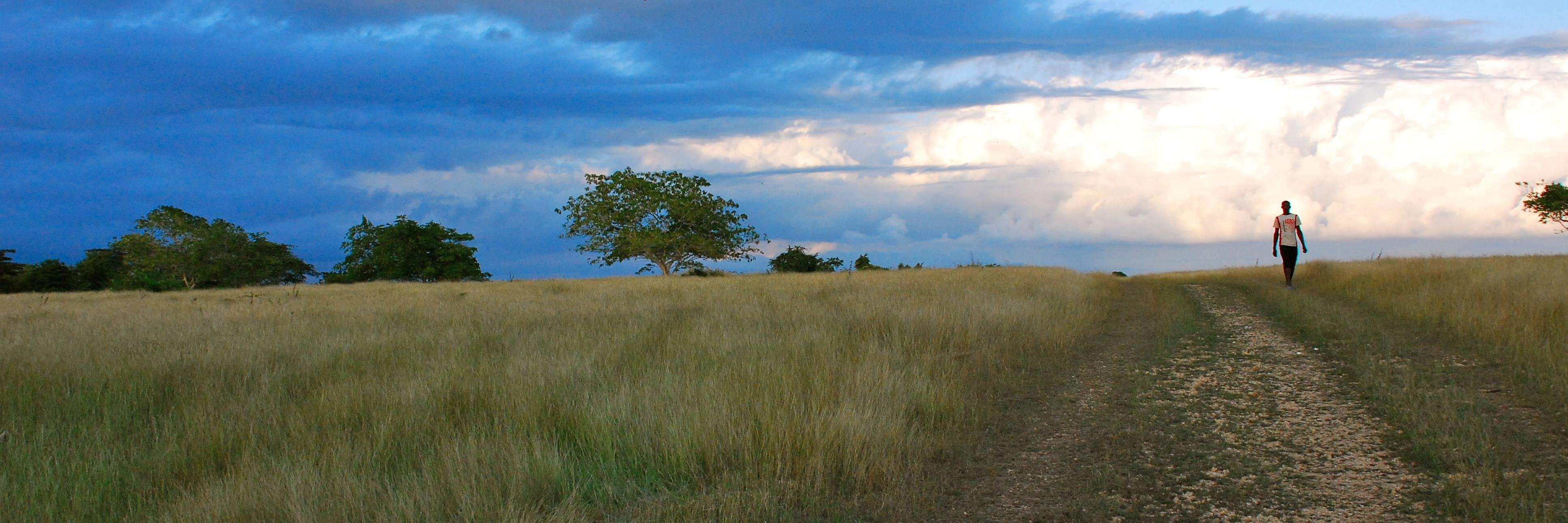 leoprobaez's profile banner image