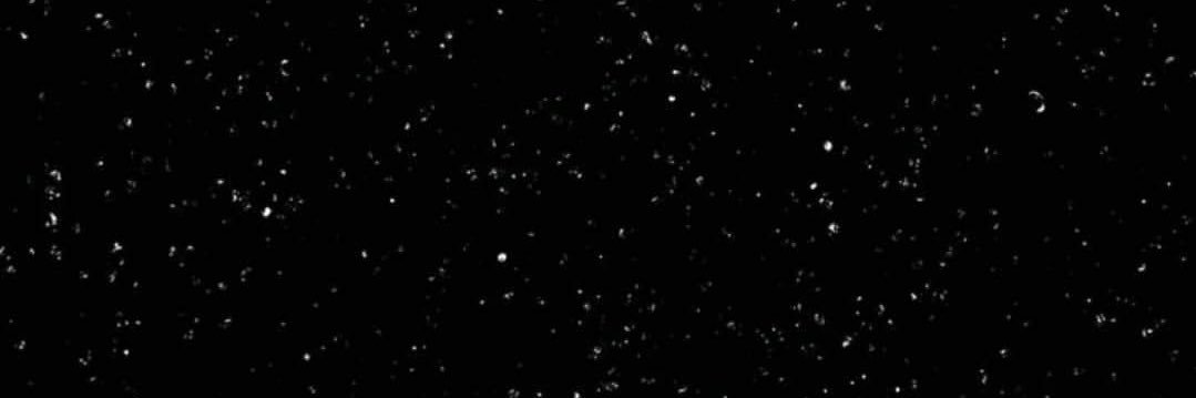 patrita's profile banner image