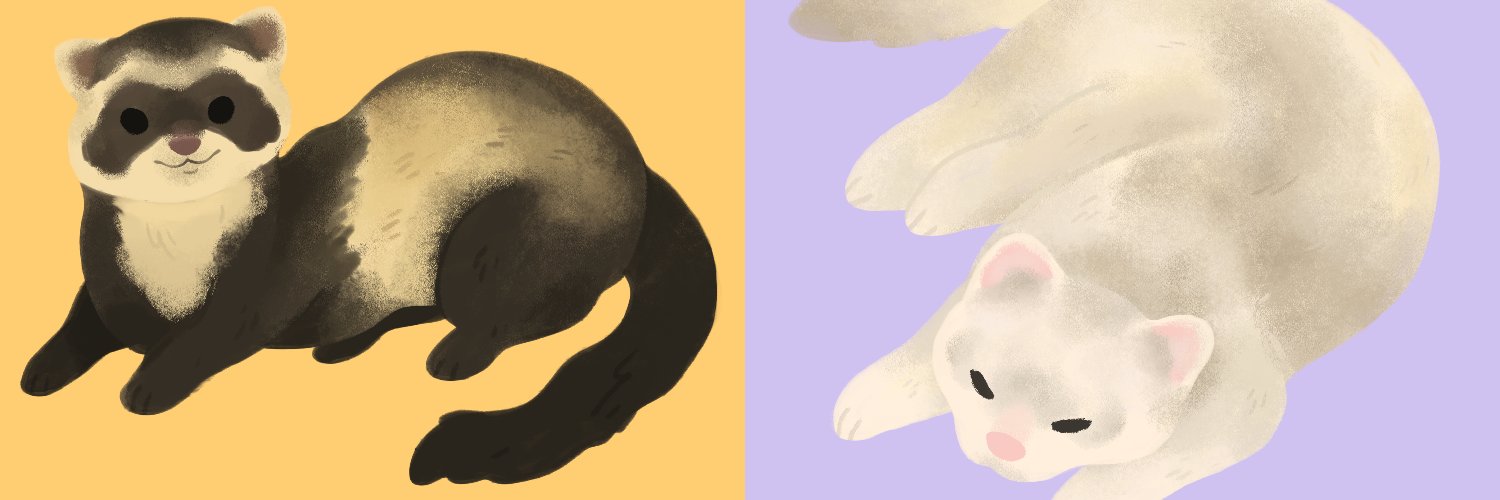 raebaeboo's profile banner image
