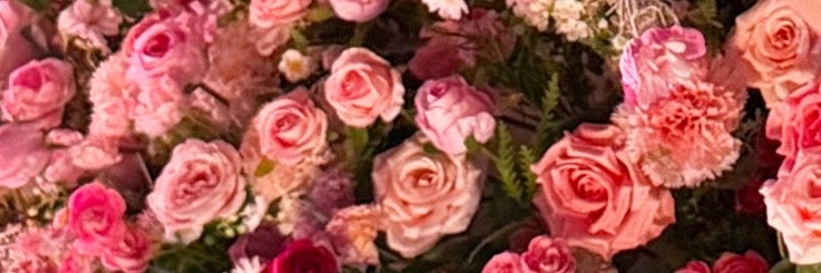 jintanriddle's profile banner image
