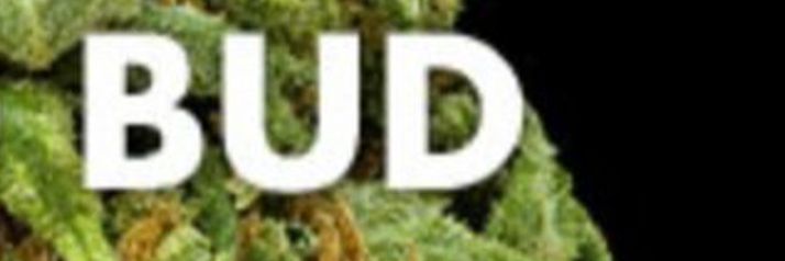 _rissssaaa's profile banner image