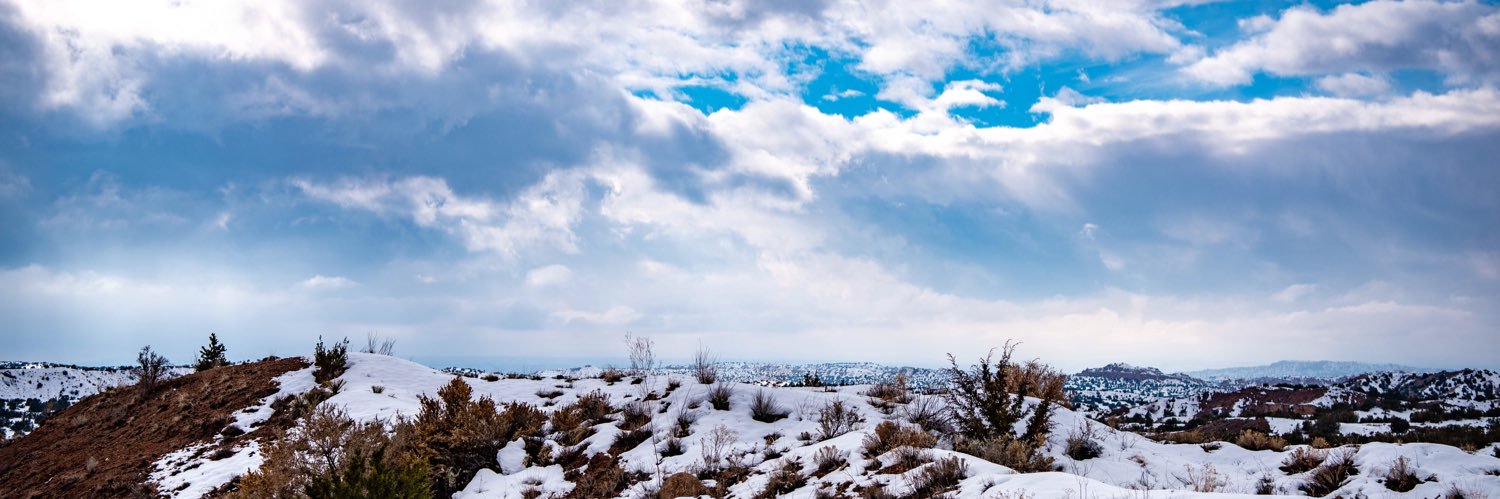 nativerogue's profile banner image