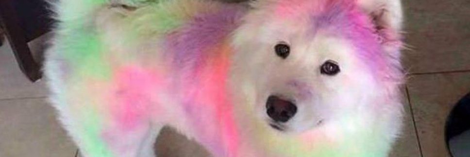 mikelc247's profile banner image
