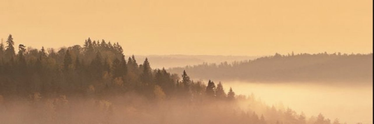 ashgrinnell's profile banner image