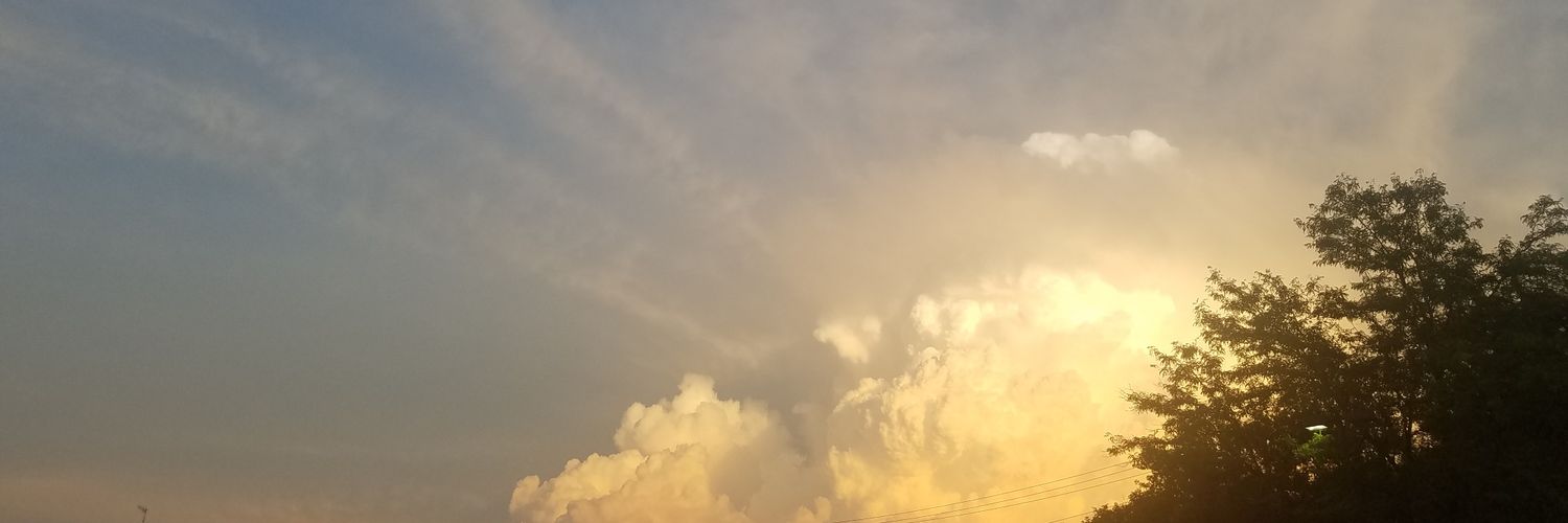leejenner73's profile banner image