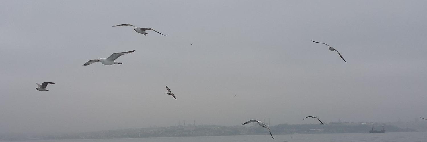 onuryerdogan's profile banner image