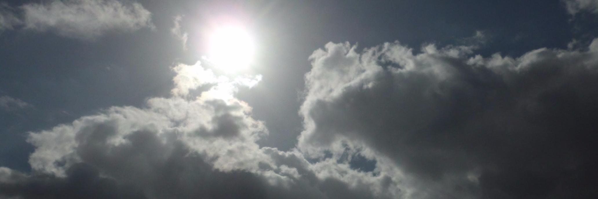 レモンボーイ banner