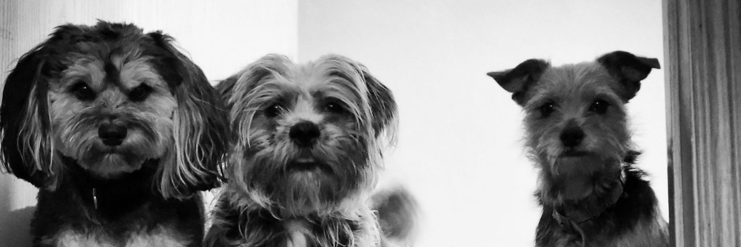 HeatherAnn_9's profile banner image