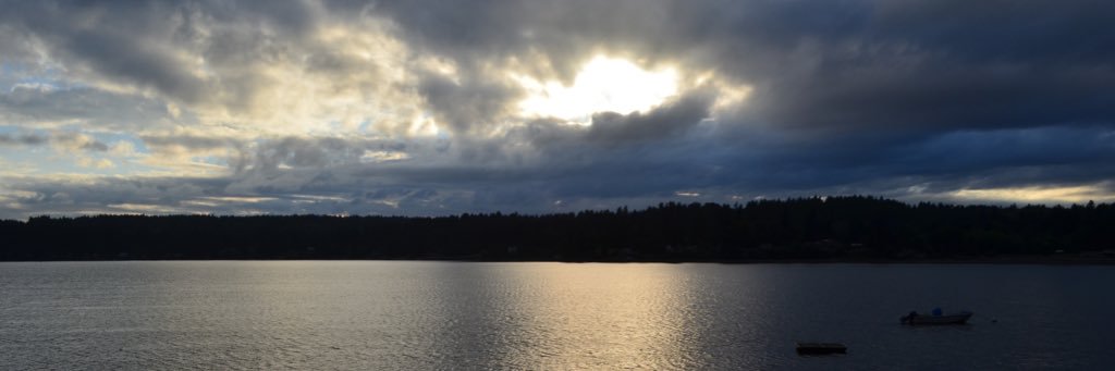 carissatowne's profile banner image