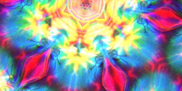 chloe_mckerr's profile banner image