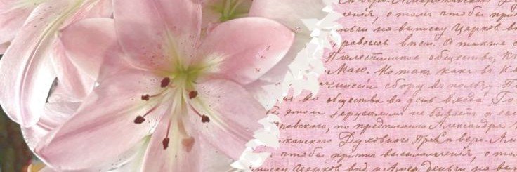 celest_swiftie's profile banner image